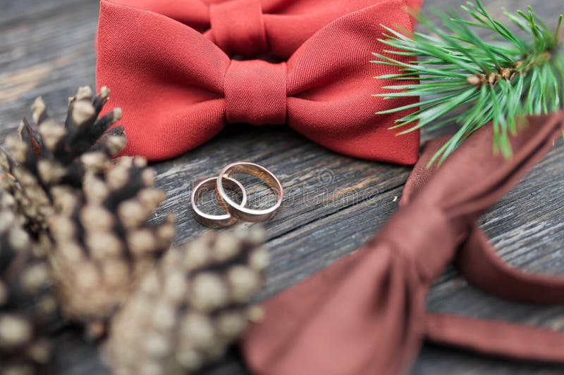 Wedding rings on the groom tie