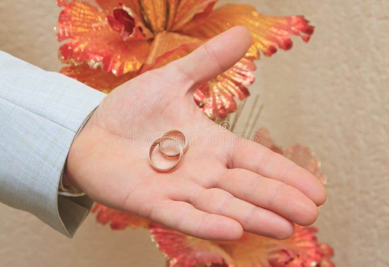 Wedding rings on a hand of the groom