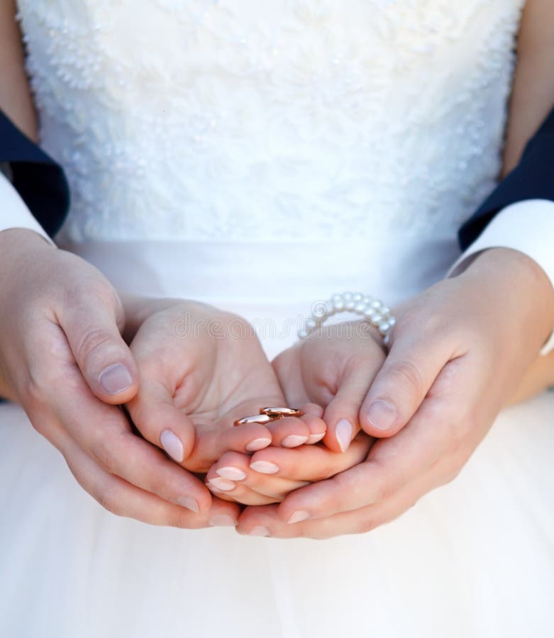  Wedding  Rings  In Hands  Of The Newly married Couple  Stock 