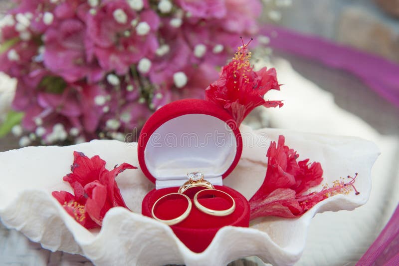 Wedding Rings in a Jewelery Case Stock Image - Image of band, bouquet ...
