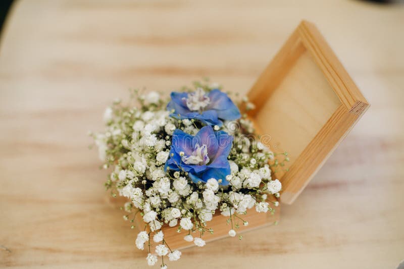 Wedding Rings in the Jewelry Box at the Wedding Ceremony Stock Image Image of love, couple