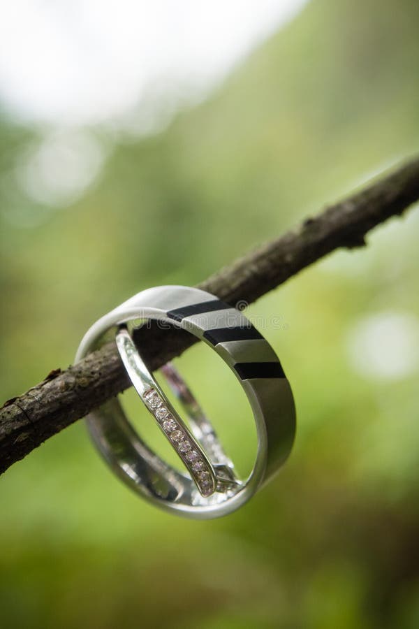 Wedding rings stock photo. Image of married, jewelry 30181412