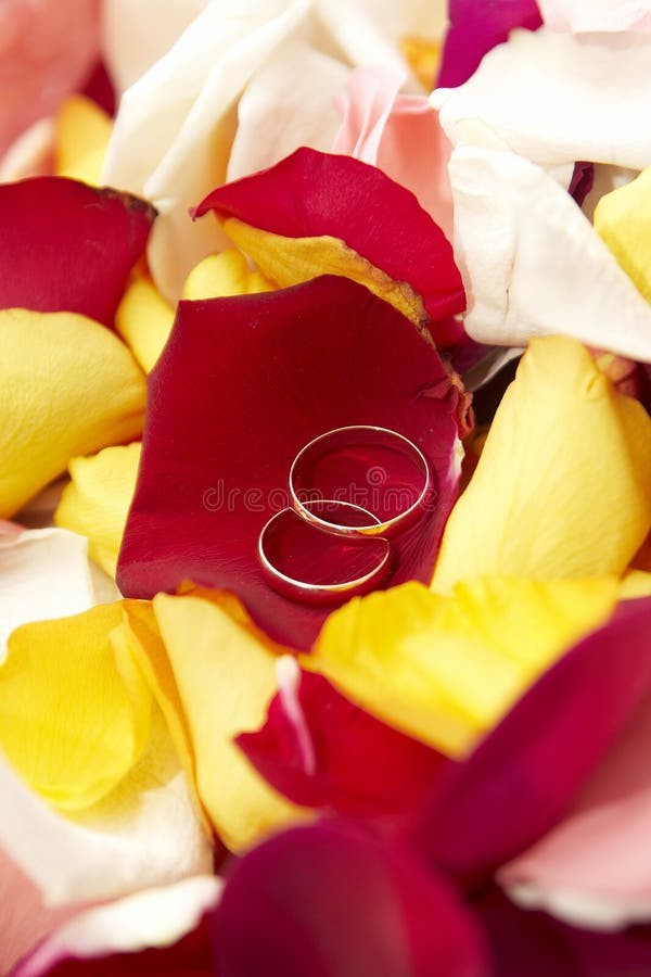 Wedding rings on petals of roses.