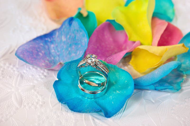Wedding rings on rainbow rose petal stock photo Wedding rings on rainbow rose petal stock photo