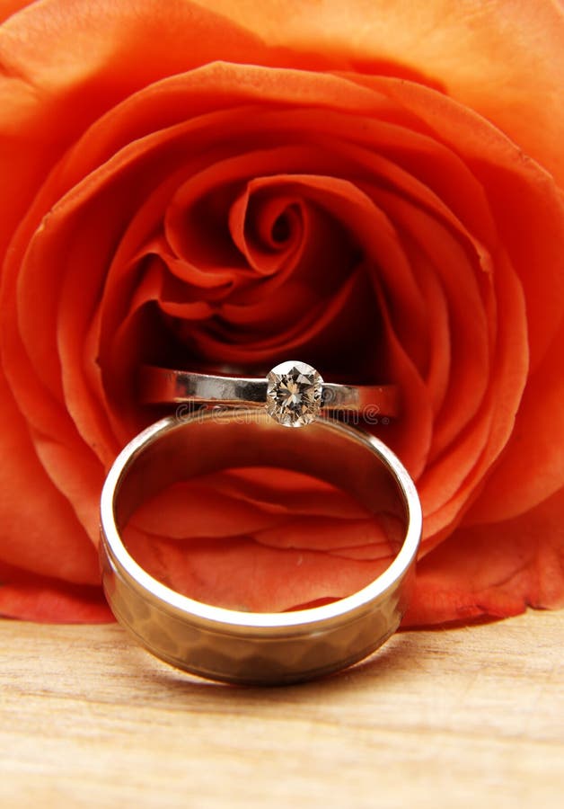 Wedding rings on a red rose