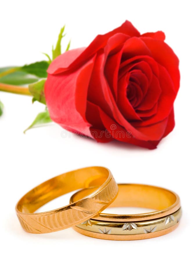 Wedding rings and rose