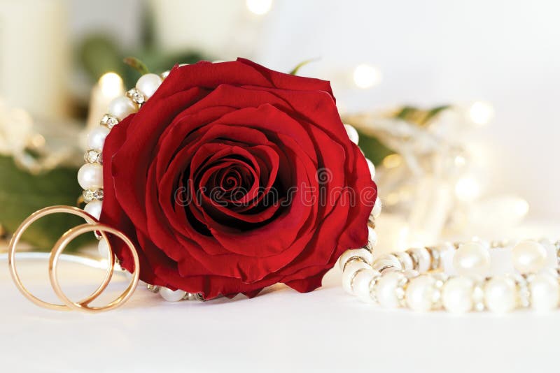 Wedding Rings with Rose Flowers Stock Photo Image of groom, bridal
