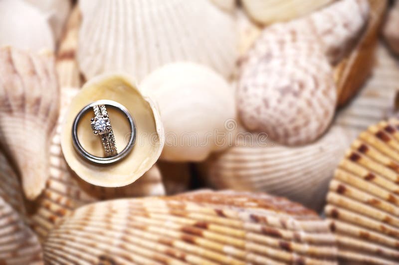 A closeup view of a pile of shells with wedding rings on them. Beach wedding. A closeup view of a pile of shells with wedding rings on them. Beach wedding.