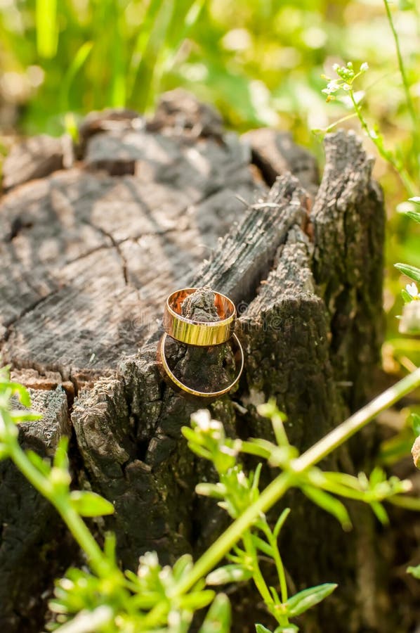 Wedding Rings on a Tree Stump Stock Photo Image of selective, grass