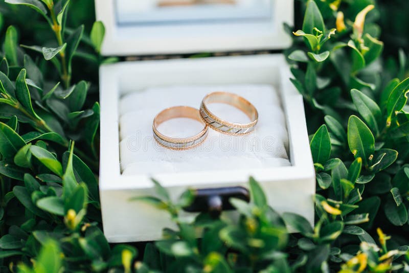 Wedding Rings in a White Box Stock Photo Image of groom, love 109403674