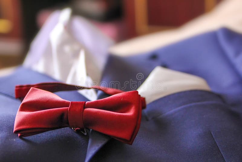Wedding suit butterfly tie stock photo. Image of accessory 88357154