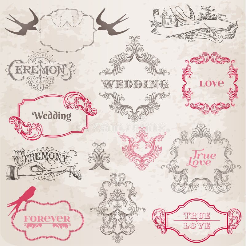 Wedding Vintage Frames and Design Elements Stock Vector Illustration