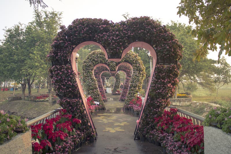 Wedding walkway in public park stock photography
