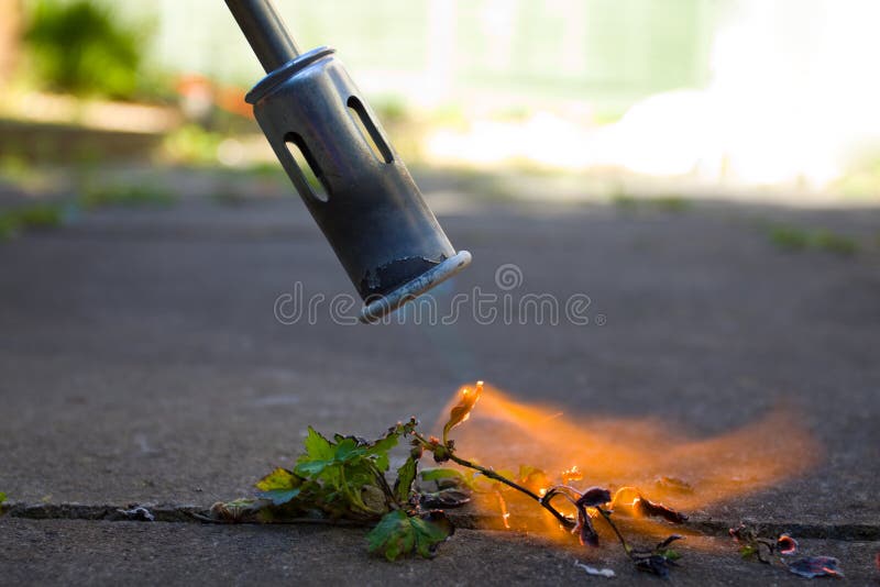 Weed Killer stock photo. Image of killer, flame, weeds 19761416