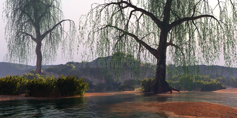 the earth is weeping the earth is weeping