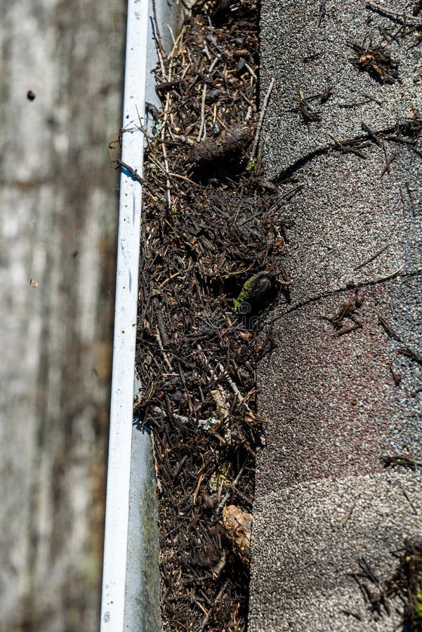 Weergeven van dak van de dakspanen en de goot van het asfaltdak die met boompuin worden gevuld, tijd voor goot het schoonmaken stock foto's Weergeven van dak van de dakspanen en de goot van het asfaltdak die met boompuin worden gevuld, tijd voor goot het schoonmaken stock foto's