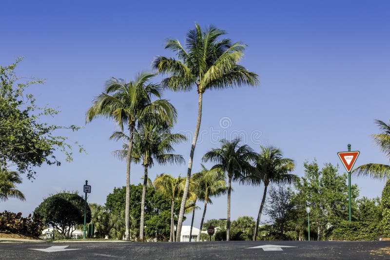 Road to residential community in Naples, Florida. Road to residential community in Naples, Florida