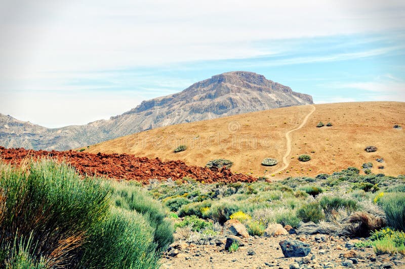Weg, der durch teide Nationalpark bei Teneriffa führt stockbild Weg, der durch teide Nationalpark bei Teneriffa führt stockbild