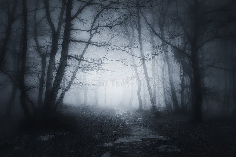 Weg im dunklen und furchtsamen Wald