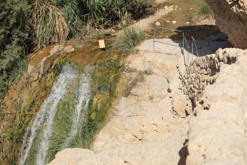 Weg & Stroom in de Oase van Ein Gedi, Israël stock foto Weg & Stroom in de Oase van Ein Gedi, Israël stock foto