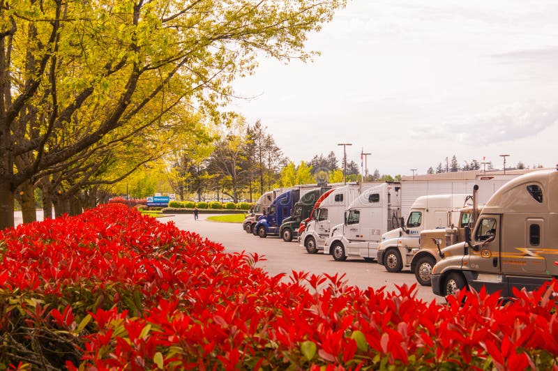 Truck stop with beautiful colorful green trees and red leafs beaches. Truck stop with beautiful colorful green trees and red leafs beaches