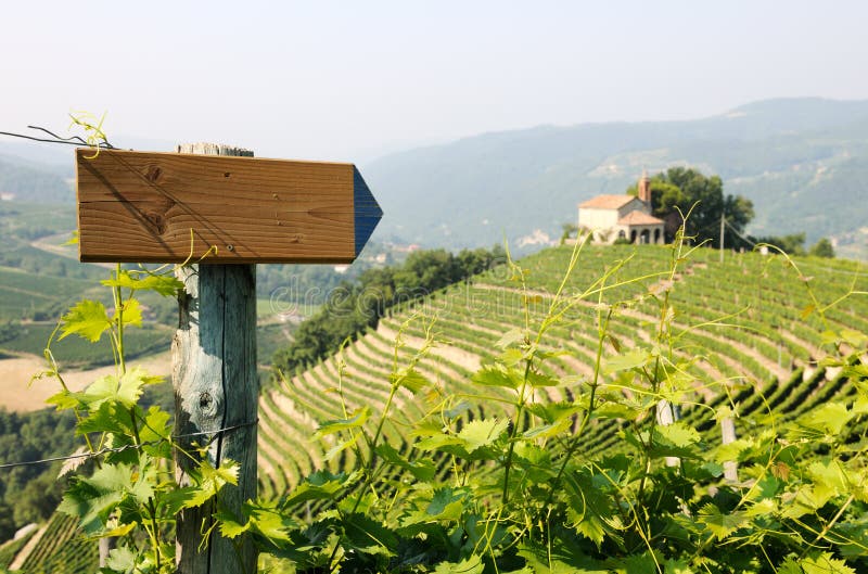 Wegweiser herein die Weinberge stockbilder Wegweiser herein die Weinberge stockbilder