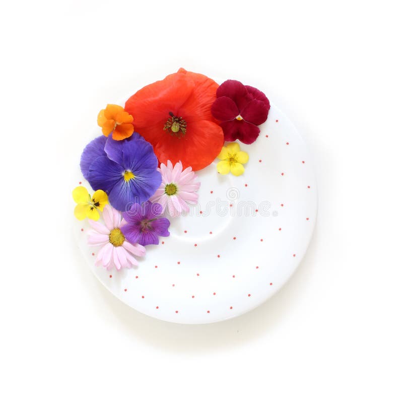Weibliche Blumenszene Zusammensetzung von essbarem wildem und von Garten blüht, Tupfenporzellanplatte auf weißem Hintergrund lizenzfreie stockbilder Weibliche Blumenszene Zusammensetzung von essbarem wildem und von Garten blüht, Tupfenporzellanplatte auf weißem Hintergrund lizenzfreie stockbilder