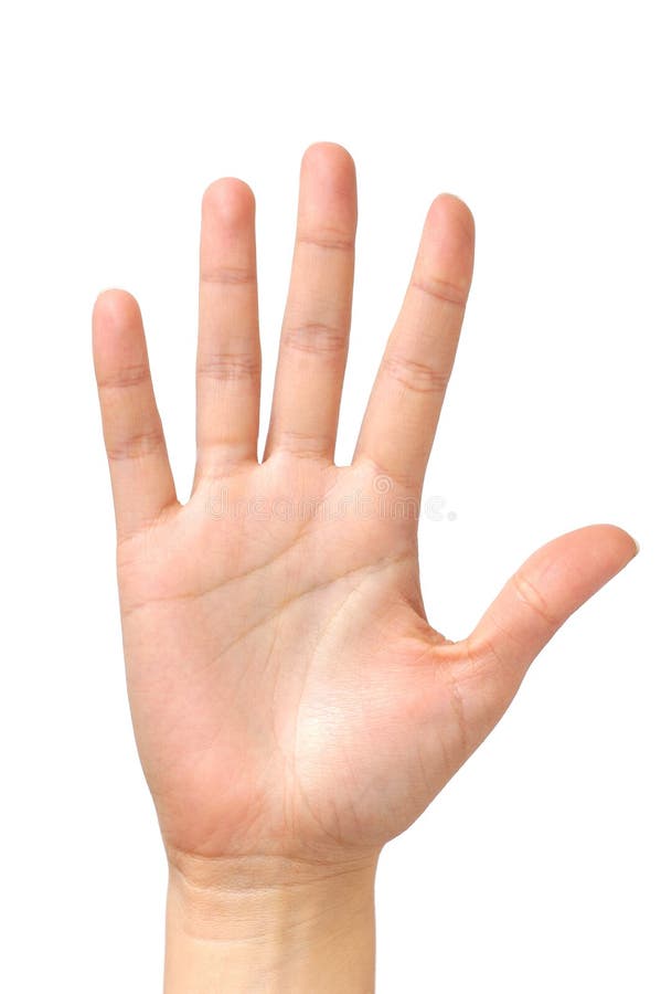 Weibliche Handpalme getrennt lizenzfreies stockfoto