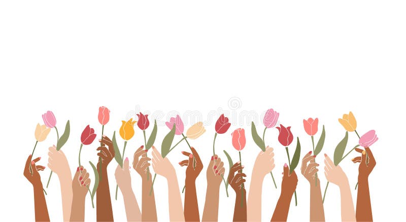 Weibliche Hände der Vektorillustration, die Blumen isoliert auf einem weißen backgroundelegant Blumenplakat mit tulipshappy halten lizenzfreie abbildung
