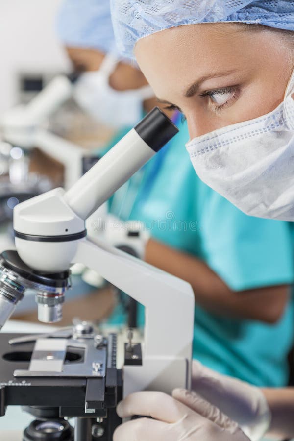 Weibliche wissenschaftliche Forschung Team Using Microscopes im Labor stockbild Weibliche wissenschaftliche Forschung Team Using Microscopes im Labor stockbild