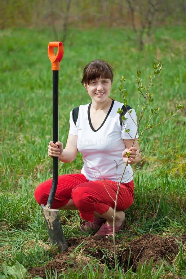Pflanzen eines Baums stockbild. Bild von mitarbeit, obacht 5090173