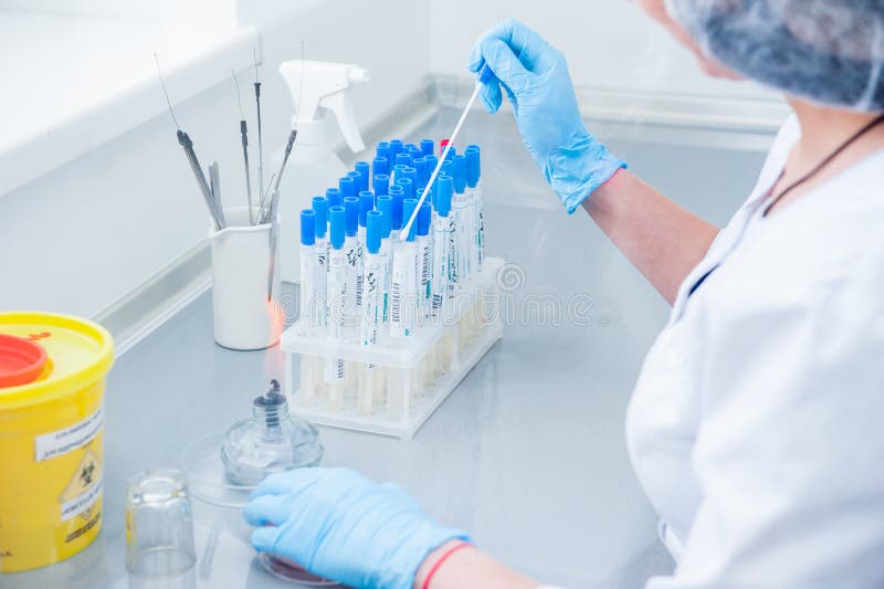 Weiblicher medizinischer oder wissenschaftlicher Laborforscher führt Tests durch Schließen Sie oben, selektiver Fokus stockfoto Weiblicher medizinischer oder wissenschaftlicher Laborforscher führt Tests durch Schließen Sie oben, selektiver Fokus stockfoto