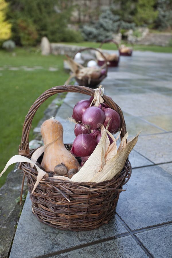 Weidenkorb mit Mais, Nüssen, Kürbis und Zwiebel lizenzfreies stockfoto Weidenkorb mit Mais, Nüssen, Kürbis und Zwiebel lizenzfreies stockfoto