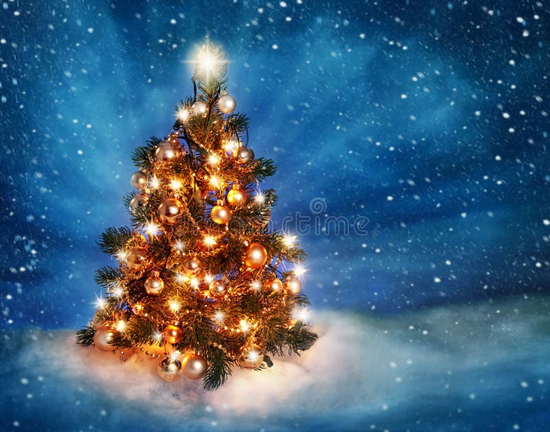 Weihnachtsbaum Weihnachtsbaum