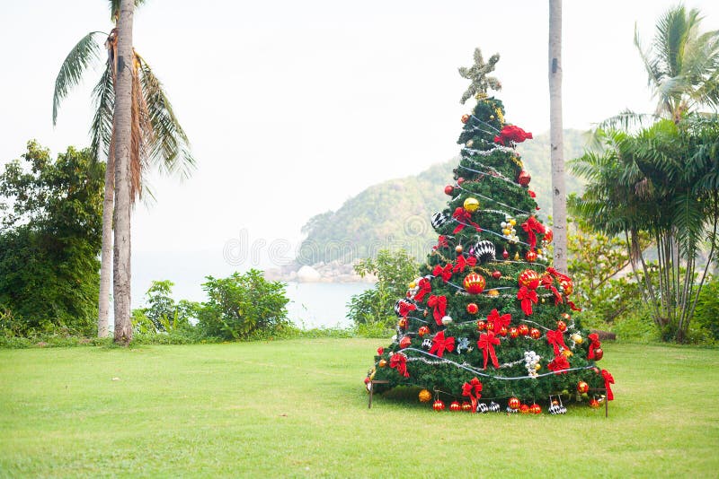 Weihnachtsbaum auf schönem tropischem Hintergrund lizenzfreies stockfoto Weihnachtsbaum auf schönem tropischem Hintergrund lizenzfreies stockfoto