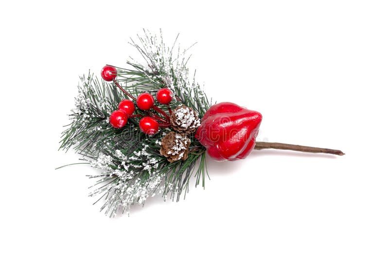 Weihnachtsbaumast stockbild Weihnachtsbaumast stockbild
