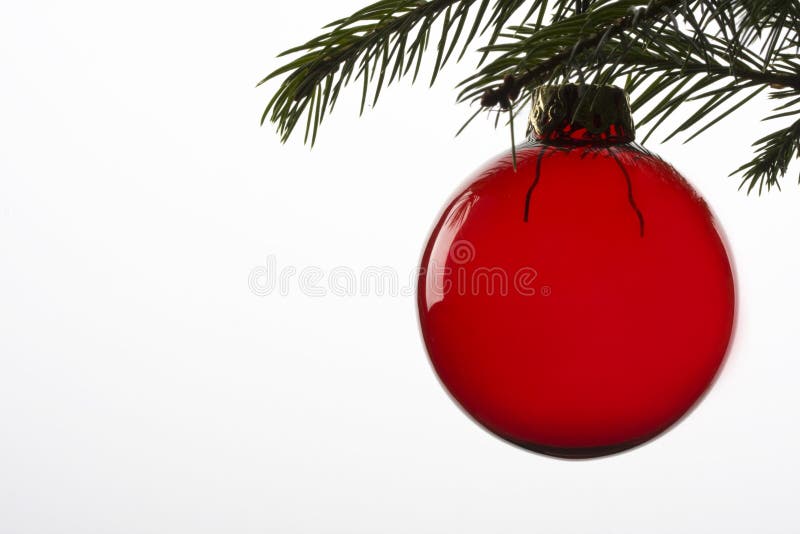 Red christmas tree ball hanging from spruce leaf. Red christmas tree ball hanging from spruce leaf