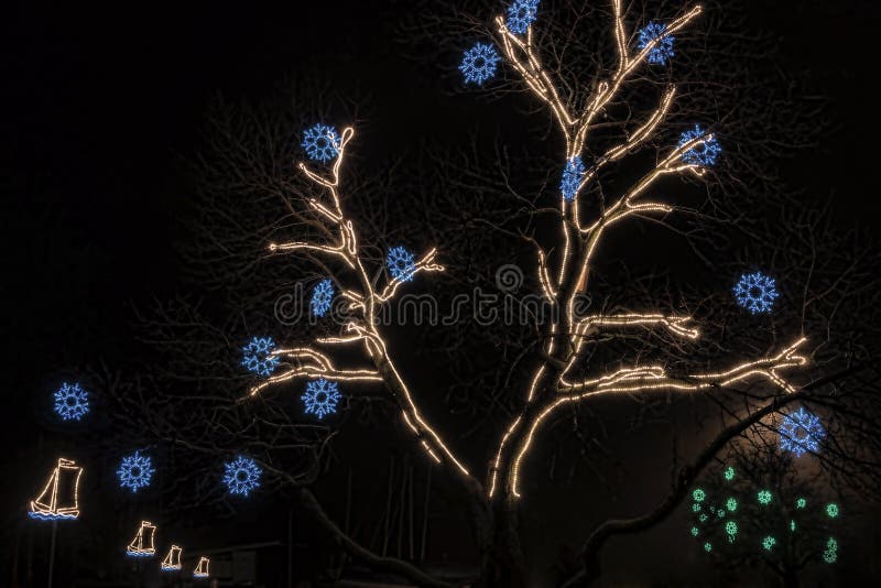 Weihnachtsbeleuchtung Auf Bäumen Stockbild - Bild Von Schmücken, Lampe:  62899117