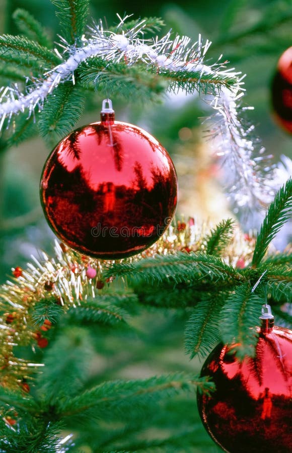 Weihnachtsdekorationen lizenzfreie stockfotos Weihnachtsdekorationen lizenzfreie stockfotos