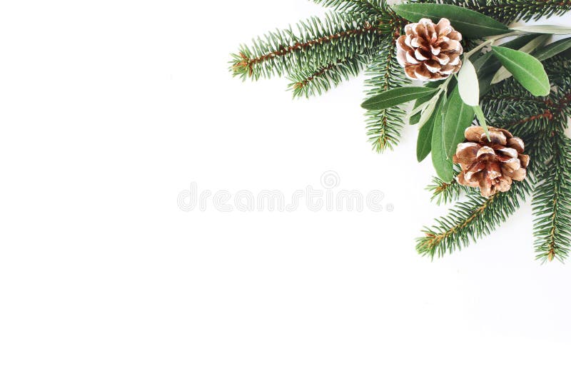 Weihnachtsfestliche angeredete Zusammensetzung auf Lager Dekorative Ecke Kiefernkegel, Blätter der Tanne und des Olivenbaums und