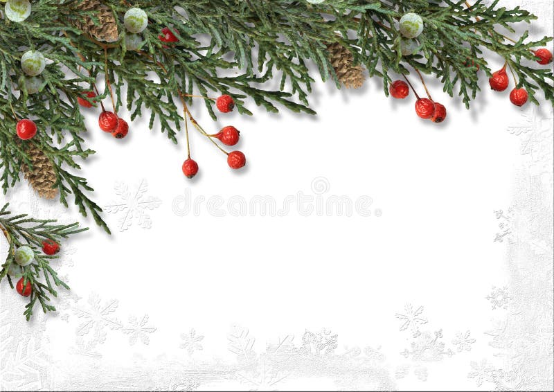 Weihnachtsgrenze mit der Stechpalme lokalisiert auf Weiß