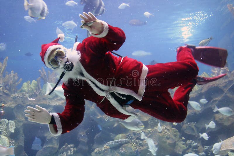 Weihnachtsgruß Weihnachtsgruß