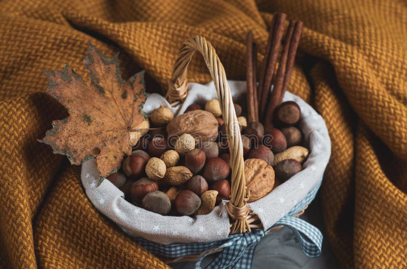Weihnachtskonzept-Korb mit sortiertem Mischnuss-Erdnuss-Mandel-Haselnuss-Kiefern-Niederlassungs-gelbe Decken-gemütlichem gesundem lizenzfreie stockbilder Weihnachtskonzept-Korb mit sortiertem Mischnuss-Erdnuss-Mandel-Haselnuss-Kiefern-Niederlassungs-gelbe Decken-gemütlichem gesundem lizenzfreie stockbilder