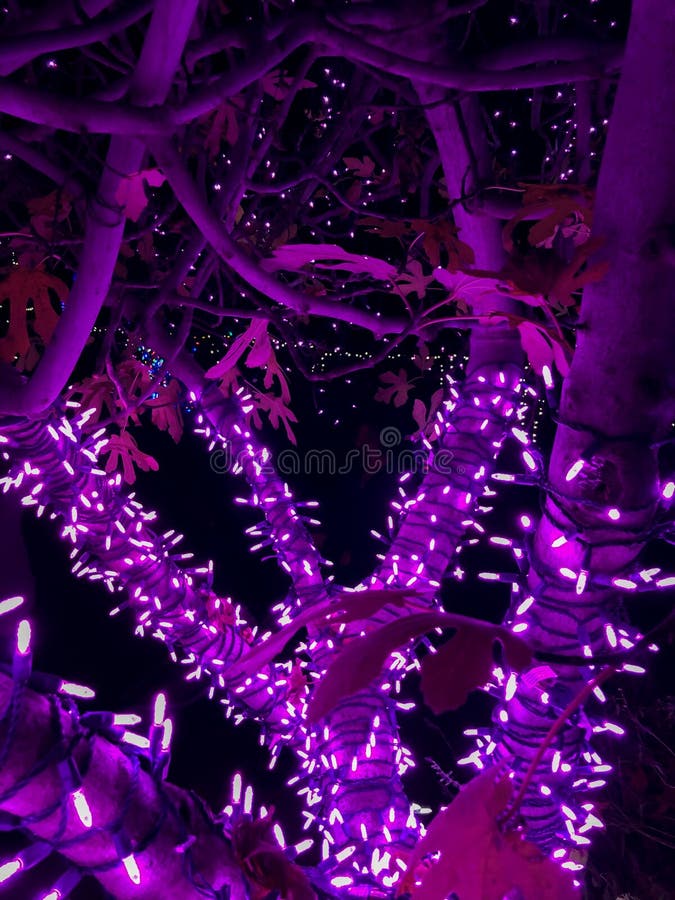 Himmellichter Stockbild. Bild Von Bewölkt, Eindeutig - 133532711