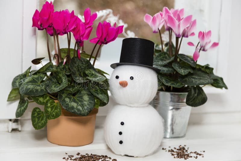 Weihnachtsnoch Leben lizenzfreies stockbild Weihnachtsnoch Leben lizenzfreies stockbild