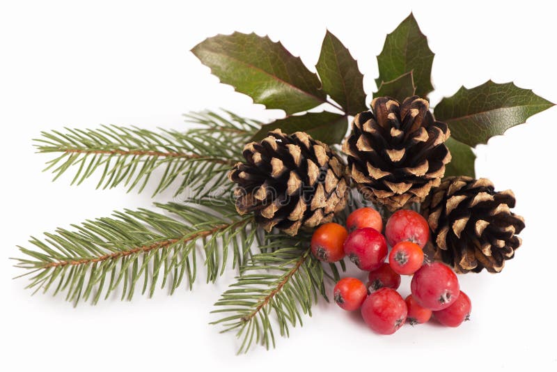 Weihnachtssaisongrenze der Stechpalme, Mistelzweig, lizenzfreie stockfotografie Weihnachtssaisongrenze der Stechpalme, Mistelzweig, lizenzfreie stockfotografie