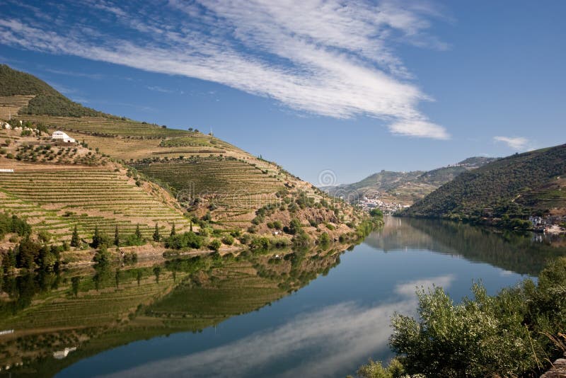 Weinberg auf Douro Fluss