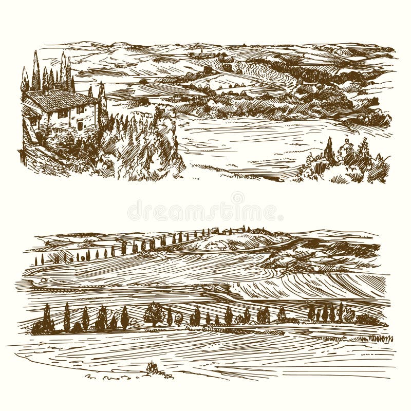 Weinberg Landwirtschaftliche Landschaft stock abbildung Weinberg Landwirtschaftliche Landschaft stock abbildung