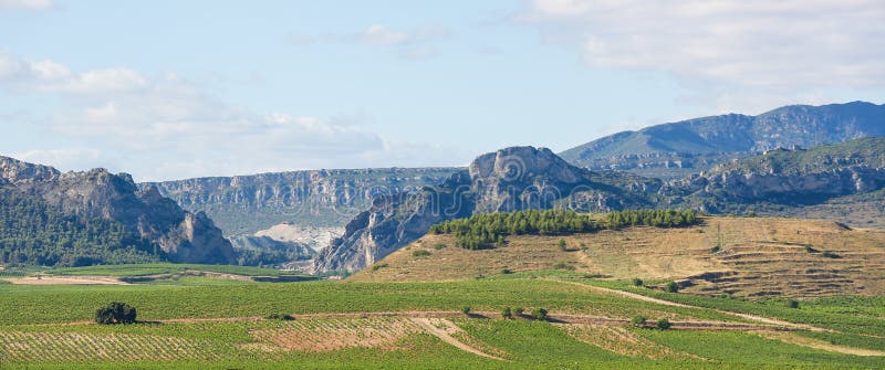 Weinberge im Haro, Rioja, Spanien lizenzfreie stockfotos Weinberge im Haro, Rioja, Spanien lizenzfreie stockfotos