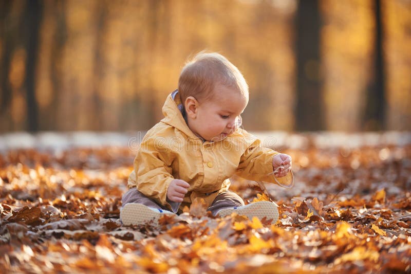 Weinig babyjongen die onder de gevallen bladeren in het de herfstpark kruipen bij zonnige dag royalty-vrije stock afbeelding Weinig babyjongen die onder de gevallen bladeren in het de herfstpark kruipen bij zonnige dag royalty-vrije stock afbeelding